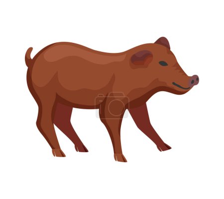 Ilustración de Raza de cerdo Duroc sobre fondo blanco ilustración vector plano - Imagen libre de derechos