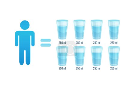 Ilustración de Beber ocho vasos de agua para la salud cuerpo humano plana vector ilustración - Imagen libre de derechos