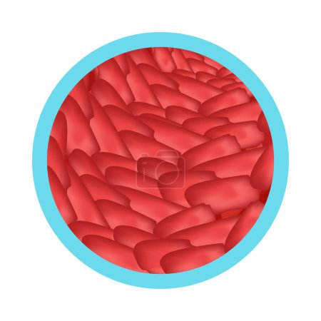 Téléchargez les illustrations : Gastrite symptôme plat icône ronde illustration vectorielle - en licence libre de droit
