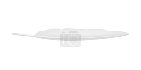 Illustration for Realistic long white bird feather vector illustration - Royalty Free Image