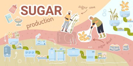 Illustration for Sugar production composition with collage of flat icons with factory units beets canes and human characters vector illustration - Royalty Free Image