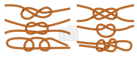 Ilustración de Tipos náuticos de nudos atados en yute o cuerdas de cáñamo conjunto realista aislado en el fondo blanco vector ilustración - Imagen libre de derechos