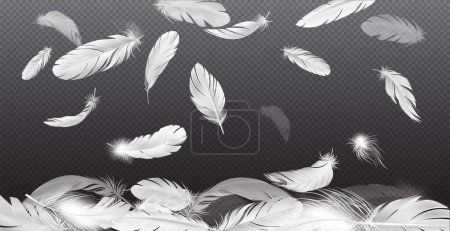 Ilustración de Plumas realistas cayendo composición con fondo transparente y cayendo plumas blancas con diferente transparencia e ilustración vectorial de forma - Imagen libre de derechos