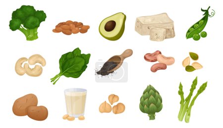 Proteína vegana y vegetariana contenida conjunto de alimentos con iconos aislados de verduras maduras frijoles y plantas vector ilustración