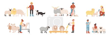 Ilustración de Conjunto plano de personas que alimentan cizallamiento cuidar ovejas en granja aislado vector ilustración - Imagen libre de derechos