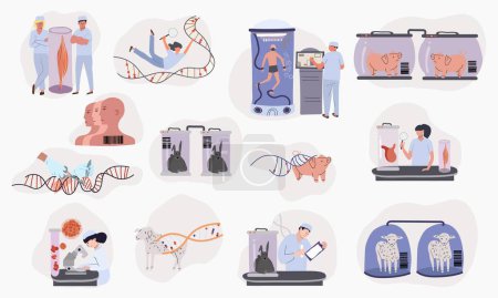 Téléchargez les illustrations : Clonage génétique ensemble plat de compositions isolées avec chambres d'animaux flottants et clonés avec des scientifiques illustration vectorielle - en licence libre de droit