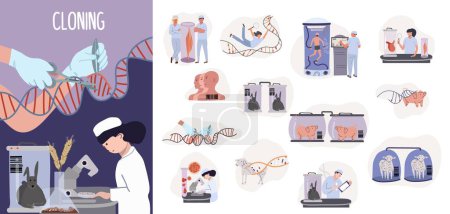 Ilustración de Clonación genética composición plana con científica femenina trabajando en laboratorio y conjunto de iconos bioquímicos aislados ilustración vectorial - Imagen libre de derechos