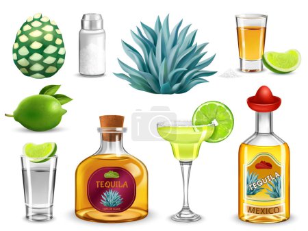 Ilustración de Bebida alcohólica fuerte mexicana del tequila en botellas y vasos ilustración aislada realista del vector del sistema - Imagen libre de derechos
