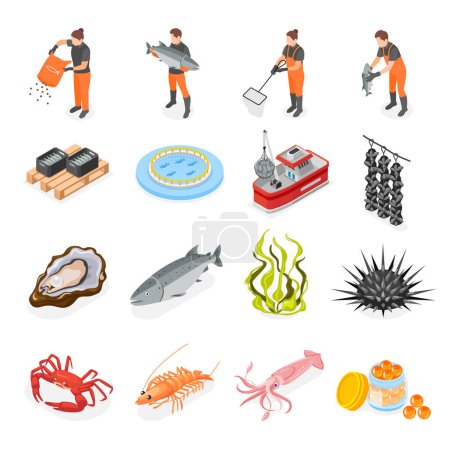Téléchargez les illustrations : Ensemble de mariculture avec icônes isométriques de fruits de mer et caractères humains des travailleurs sur fond blanc illustration vectorielle - en licence libre de droit