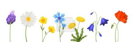 Fleurs de printemps serties d'icônes réalistes isolées de petites fleurs pétales et tiges sur fond blanc illustration vectorielle