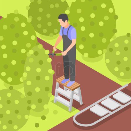 Illustration for Male gardener using folding step stool while pruning bushes in garden isometric background vector illustration - Royalty Free Image
