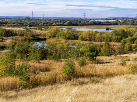 Photo for View over the wetland habitat at Fairburn Ings Nature Reserve, West Yorkshire, England - Royalty Free Image