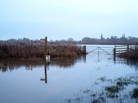 Téléchargez les photos : Champs inondés et sentier pédestre à Wheldrake Ings Nature Reserve, North Yorkshire, Angleterre - en image libre de droit