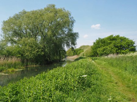 Photo for Grassy footpath and tree beside the Pocklington Canal in East Yorkshire, England, in springtime - Royalty Free Image