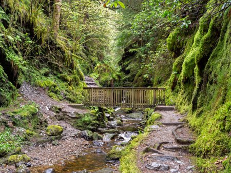 Photo for Constructed path and bridge in the gorge at Pucks Glen, Argyll, Scotland - Royalty Free Image