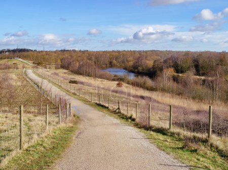 Photo for Path through Fairburn Ings Nature Reserve, West Yorkshire, England, with a view of the River Aire - Royalty Free Image