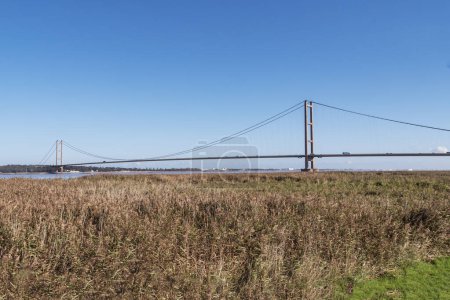 View of the Humber Bridge over the Humber Estuary seen across a reedbed, Lincolnshire, England