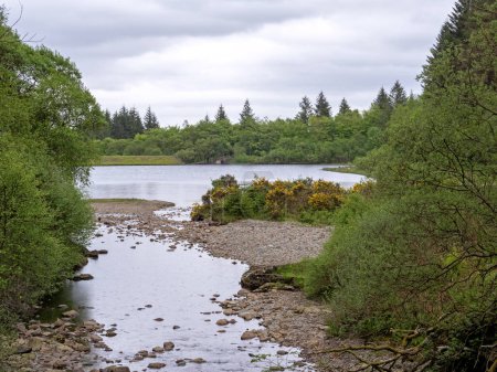 Bishops Glen Reservoir mit Bäumen und Hügeln im Hintergrund, Dunoon, Argyll, Schottland