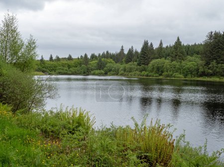 Bishops Glen Reservoir avec arbres et fleurs sauvages, Dunoon, Argyll, Écosse