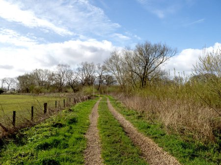 Téléchargez les photos : Sentier à côté d'un champ clôturé vers des arbres nus au début du printemps avec un beau ciel bleu - en image libre de droit