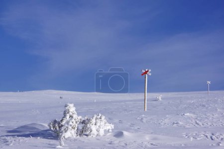 Téléchargez les photos : Ski dans la nature IdreFjll - Suède - en image libre de droit
