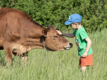 Téléchargez les photos : Enfant avec une vache dans une ferme - en image libre de droit