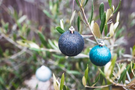 Foto de Adornos navideños en olivo en patio soleado, concepto de temporada festiva en lugares cálidos y en el hemisferio sur - Imagen libre de derechos