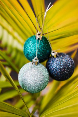 Foto de Bola navideña en palmera tropical en patio soleado, concepto de temporada festiva en lugares cálidos y en el Hemisferio Sur - Imagen libre de derechos