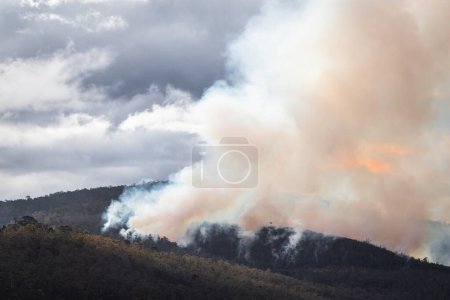 controlled burns creating thick smoke over the bush in Australia, made to reduce bushfire risk 