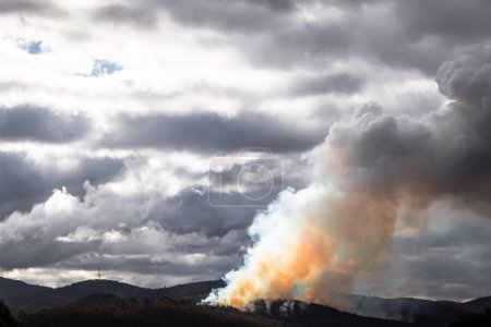 controlled burns creating thick smoke over the bush in Australia, made to reduce bushfire risk 
