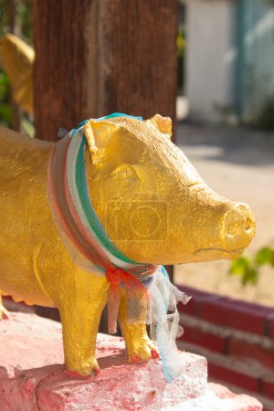 Photo for Golden pig statue in thai temple - Royalty Free Image