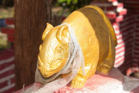 Photo for Thai golden rat statue in temple - Royalty Free Image