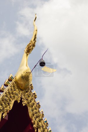 Téléchargez les photos : Thai bois doré naga pignon apex avec ciel - en image libre de droit
