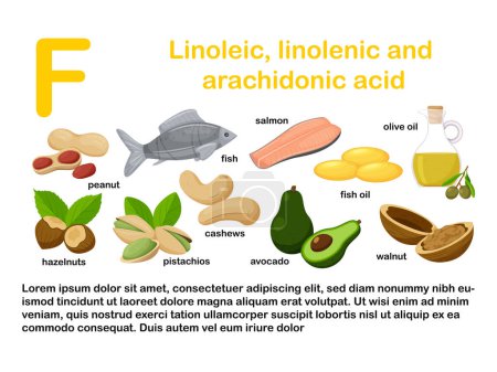 Illustration for Rectangular poster with food products containing vitamin F. Linolenic and arachidonic acids. Medicine, diet, healthy eating, infographics. Flat cartoon food illustration isolated on a white background - Royalty Free Image