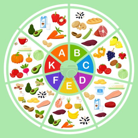 Ein Kuchendiagramm mit den wichtigsten Vitaminen und den Lebensmitteln, die sie enthalten. Flache Cartoonillustrationen. Kreisförmige Infografik, Vorlage. Gesunde Ernährung, gesunde Ernährung. Farbvektorillustration