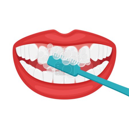 Sonriente boca abierta. Cepillarse los dientes con un cepillo de dientes. Hermosos incluso dientes blancos y labios femeninos regordetes. Higiene y cuidado bucales. Estilo de vida saludable. Ilustración vectorial aislada en estilo plano
