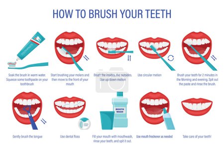 Cheme of how to brush your teeth.Step-by-step instructions. Oral hygiene. Healthy lifestyle and dental care.Order of actions with the description.Prevention of caries.Isolated flat vector illustration