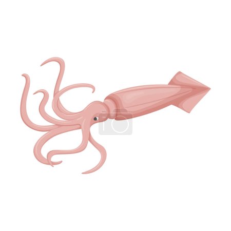 Raw, uncooked squid with tentacles and a tail. Marine animal, sea food. Flat style. Color vector illustration isolated on a white background.
