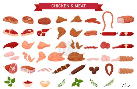 Illustration for Large meat set. Sausages, grilled chicken, raw meat, sausage cuts, pork, knuckle, ribs, chicken breast, shish kebab, meatballs, lard, herbs, sauces Set in a flat cartoon style Isolated on white - Royalty Free Image