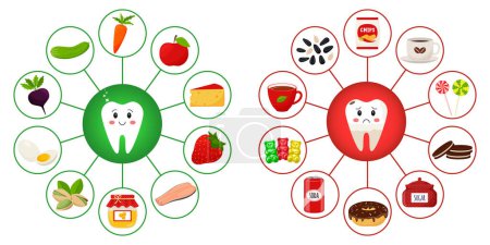 Illustration for A poster with teeth surrounded by food products that are useful and harmful to dental health. Medicine, diet, healthy eating, infographics. Flat cartoon illustration on a white background. - Royalty Free Image