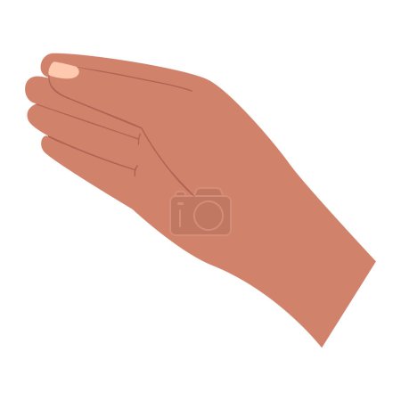Téléchargez les illustrations : Une main humaine. Un geste. Tient, donne, montre quelque chose. Illustration vectorielle couleur isolée sur fond blanc. - en licence libre de droit