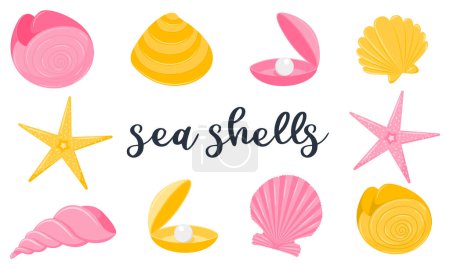 A set of exotic marine animals. Spiral shells, nautilus, starfish, pearl clam. Flat cartoon style. Vector illustrations isolated on a white background