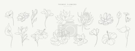 Set of thin line flowers and leaves. Trendy botanical elements. Hand drawn line branches and blooming. Wedding elegant wildflowers for invitation save the date card. Vector trendy greenery