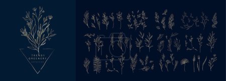 Ilustración de Rama Golden Floral y flores minimalistas para logo o tatuaje. Línea dibujada a mano hierba de la boda, hojas elegantes para la invitación guardar la tarjeta de fecha. Botánico rústico de moda verde vector - Imagen libre de derechos
