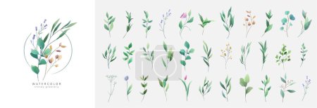 Téléchargez les illustrations : Set of luxury green leaves and flowers elements in watercolor style. Aquarelle trendy greenery branches and blooming. Vector isolated on white background for Invitation, greeting card, save the date. - en licence libre de droit