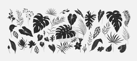 Illustration for Set of Floral tropical branch of palm and flowers in silhouette and line style. Hand drawn elegant exotic leaves for invitation save the date card design. Botanical trendy greenery vector - Royalty Free Image
