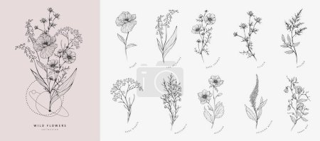 Set aus trendigen Wildblumen und minimalistischen Blumen für Logo oder Dekoration. Minimale Linienzeichnung für Druck, Einband oder Tapete