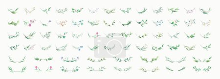 Ilustración de Set of luxury green leaves and flowers elements in watercolor style. Aquarelle trendy greenery branches and blooming. Vector isolated on white background for Invitation, greeting card, save the date. - Imagen libre de derechos