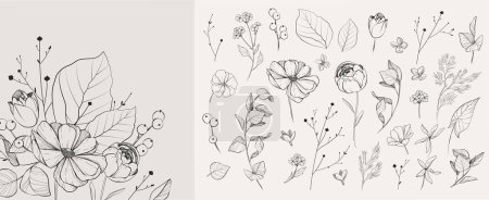 Illustration for Set of detailed black and white drawing various flowers and leaves. Luxury floral collection for wedding invitation, wallpaper art or save the date card. Botanical vector illustration - Royalty Free Image