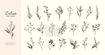 Illustration for Botanic set of detailed various flowers and brunch. Luxury vintage floral collection for wedding invitation, wallpaper art or save the date card. Botanical vector illustration, line herbs - Royalty Free Image